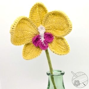 Orchidée jaune
