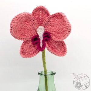 Orchidée rose