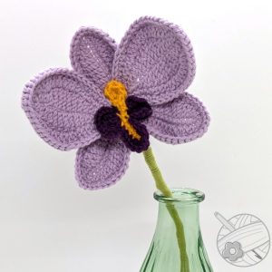 Orchidée violette