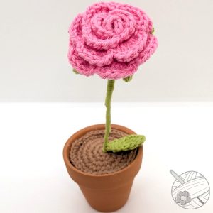 Rose éternelle couleur dragée