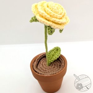 Rose éternelle jaune
